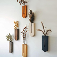 JUNJI – ensemble de 5 pièces pour amoureux des plantes, porte-plante mural en bois suspendu, Vase de Station de Propagation en bois avec Tube