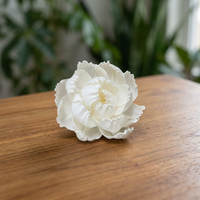 Fleurs décoratives en bois de Sola blanc de 5 cm, écologiques, pour la maison, les mariages, les cadeaux, vente en gros, 100 pièces MOQ