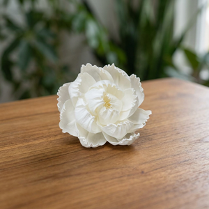 Fleurs décoratives en bois de Sola blanc de 5 cm, écologiques, pour la maison, les mariages, les cadeaux, vente en gros, 100 pièces MOQ - Product Image 2