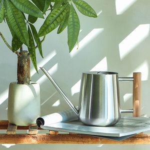 Arrosoir à long bec double orifice avec poignée en bois, débit d'eau réglable, capacité 1L/1.2L, portable, pour jardin domestique et vert - Product Image 2