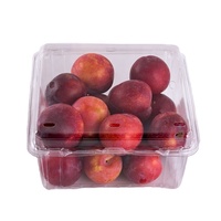 Boîtes d'emballage carrées en PET transparent perforé pour fruits frais, tomates et cerises