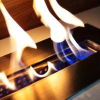 Cheminée à l'éthanol moderne brûleur à alcool intérieur cheminée au bioéthanol pour la décoration intérieure