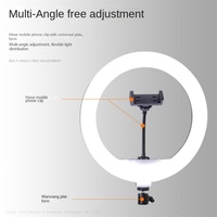 Anneau lumineux LED professionnel pour caméra mobile, idéal pour le streaming en direct et la beauté, vente en gros, qualité OEM usine