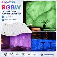 Lámina LED RGBW Cortable de 24V, Lámina LED Flexible con Lente para Barra de Bar, Discoteca, Pared de Spa, Retroiluminación
