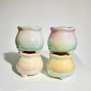 Maceta para Suculentas, Simple, con Ilusión Perlada, Colorida, Electrochapada, Transpirable, Resistente a <span class=keywords><strong>la</strong></span> Corrosión, Minimalista y Bonita - Product Image 6