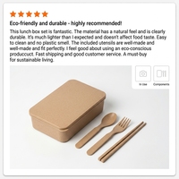 Boîte à lunch écologique biodégradable compatible micro-ondes pour la conservation des aliments, idéale pour la cuisine, la rentrée scolaire et le bureau, inspirée des balle de riz