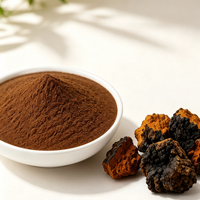Poudre d'extrait pur de champignon Chaga Inonotus Obliquus Polysaccharides Extrait de Chaga pour complément alimentaire et boisson OEM ODM