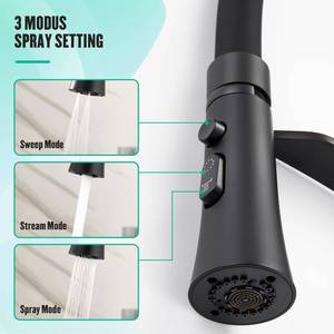 Robinet de cuisine monocommande en acier inoxydable 304 noir mat avec douchette extractible CUPC - Product Image 4