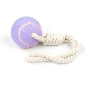 Jouets à mâcher <span class=keywords><strong>pour</strong></span> <span class=keywords><strong>chien</strong></span> en mousse de caoutchouc souple écologique, modernes et personnalisés avec logo, <span class=keywords><strong>pour</strong></span> l'entraînement quotidien des chiens - Product Image 3