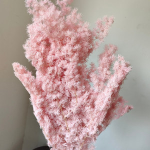 Mazzo di Fiori di Felce Ming Conservata da 80 Grammi per Decorazioni di Matrimoni, Casa e Feste in Ufficio - Product Image 2