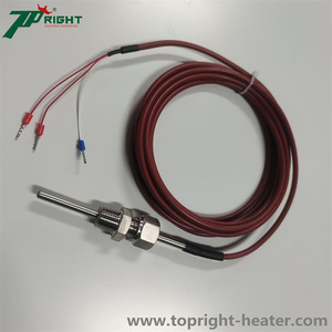 หัววัดอุณหภูมิแบบเทอร์โมคัปเปิลชนิด Pt100 ขนาด 4.8x100 มม. ทำจาก SUS316 พร้อมเกลียว NPT - Product Image 4