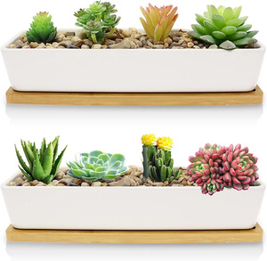 Dropshipping, maceta suculenta de cerámica blanca de 11,1 pulgadas, platillos de bambú, forma rectangular Rectangular para el hogar, jardín y oficina - Product Image 4