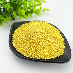 Fabricant chinois Nouveau produit 500g <span class=keywords><strong>Millet</strong></span> jaune gluant <span class=keywords><strong>sans</strong></span> <span class=keywords><strong>gluten</strong></span> - Product Image 6