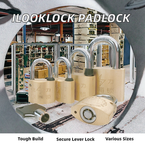 Ilooklock <span class=keywords><strong>PL</strong></span>-3025 di sicurezza in ottone lucchetto 30mm cilindro tubolare tipo D senza finitura dimensioni personalizzate chiave di bloccaggio a leva singola sblocco - Product Image 2