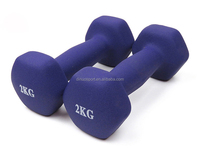 Haltères de musculation pour femmes Dinuo Rubber Hex Cast Iron Core 10 kg - Poignée antidérapante durable et confortable, couleurs personnalisées