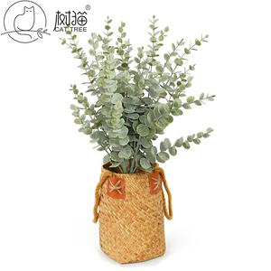 Tallo de <span class=keywords><strong>Eucalipto</strong></span> Artificial de Plástico con Hojas Redondas Escarchadas para Decoración Boho del Hogar y Arreglos Florales para Bodas - Product Image 6