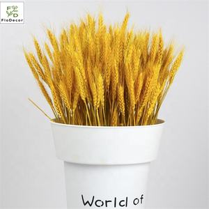 <span class=keywords><strong>Bouquet</strong></span> de blé épi de blé séché artificiel préservé en gros 100 pcs/Lot pour la décoration intérieure pour Noël Saint Valentin - Product Image 3