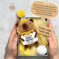 Yuhongtoys Animaux au crochet faits à la main pour le soutien émotionnel Pépites en peluche Capybara positif Jour d'anniversaire Cadeaux inspirants