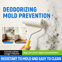 Peinture à la chaux lavable à base d'acrylique aqueux pour murs intérieurs, revêtement liquide en résine pour application au pinceau, au rouleau ou au pistolet