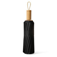 Parapluie pliant vintage à 16 baleines, noir enduit, imprimé numériquement, double usage soleil et pluie, pour femme, protection solaire