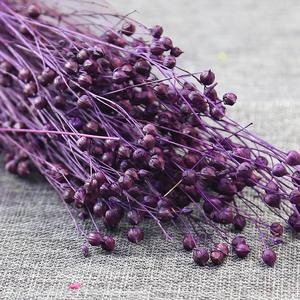 Fournitures de <span class=keywords><strong>fleuriste</strong></span> de haute qualité, fleurs séchées naturelles, fraîches et éternelles, haricots de jequirity, perles en désordre, pour la décoration de la maison - Product Image 6