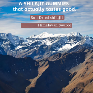 Gomitas Shilajit Premium más vendidas con Ashwagandha Burdock Root Support Stress & Mood Stabilization Shilsjit Suplemento - Product Image 4