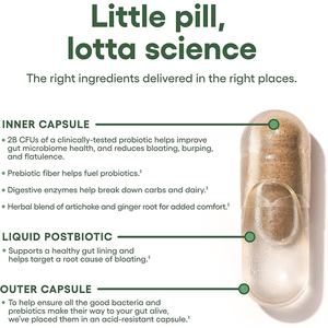 ผลิตภัณฑ์เสริมอาหารโปรไบโอติกสำหรับผู้ใหญ่ OEM ช่วยเพิ่มสุขภาพของจุลินทรีย์ในลำไส้และลดอาการท้องอืด/แก๊ส<span class=keywords><strong>2</strong></span>เม็ดทุกวัน30แคปซูล - Product Image 3