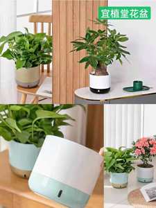 Maceta pequeña de plástico esmaltado de gran oferta <span class=keywords><strong>para</strong></span> uso doméstico de escritorio con fines decorativos - Product Image 5