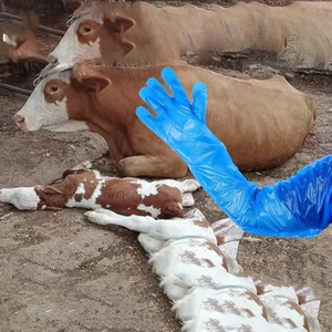 Kit de Prueba de Embarazo Bovino para Transferencia de Embriones Caprinos, Guantes Veterinarios para Orina con Elatatsc - Product Image 2