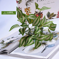 Plante artificielle en soie Fittonia Nerve à 7 branches, 45 cm, pour décoration maison, jardin et mariage – Végétation populaire