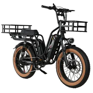 2400w 1200w 2 seats 55km/h 7 speeds 2 baskets DY08 SAMEBIKE OEM 48V/32Ah cargo bike electric ebike e-cargo family e bicycle