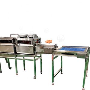 Línea automática de lavado de huevos de pollo y pato pequeño, Mini Luz de secado de huevos, inspección UV, Máquina lavadora - Product Image 6