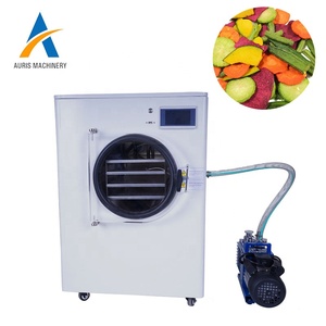 Precio <span class=keywords><strong>de</strong></span> Mini Liofilizador Industrial, Precio <span class=keywords><strong>de</strong></span> Máquina Secadora <span class=keywords><strong>de</strong></span> Gusanos <span class=keywords><strong>de</strong></span> la Harina, Pequeño Liofilizador al Vacío - Product Image 6