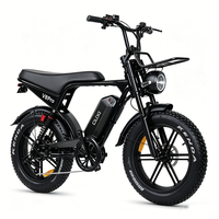 Vélo électrique familial de ville à 2 places avec pneus larges de 20 pouces, moteur arrière de 250 W, frein à disque, batterie au lithium