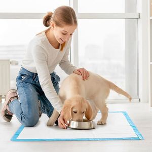 Meilleures ventes 2025 : Tapis absorbants jetables en tissu non tissé pour chiens et chiots - Product Image 3