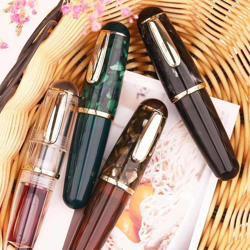 CW Fountain Pen Transparent Resin Pen