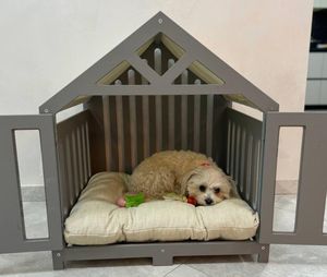 Casa <span class=keywords><strong>de</strong></span> perro <span class=keywords><strong>de</strong></span> madera desmontable muy popular, <span class=keywords><strong>ventanas</strong></span> ecológicas para mascotas, venta al por mayor personalizada para animales pequeños <span class=keywords><strong>de</strong></span> interior y exterior - Product Image 4