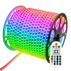 Tanda Repsn 12V LED strip penuh warna berbentuk S 72 LEDs/m lampu Neon