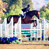 Aile de saut d'exposition d'aluminium d'obstacles de cheval