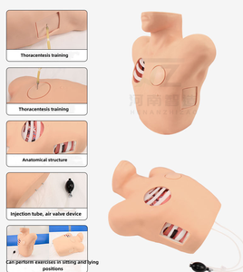 Simulador de Maniquí de Toracocentesis y Drenaje de Tamaño Real Avanzado con Material de PVC - Módulo de Entrenamiento para Punción de Neumotórax - Product Image 5