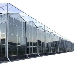 mehrjähriges landwirtschaftsgewächshaus restaurant Glas-Übergrünhaus-gewächshausrahmen mit Heizung und Dämmungssystem