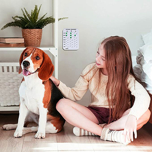 Recordatorio de alimentación para perros, pegatina de recordatorio magnético para prevenir sobrealimentación u obesidad, dispositivo rastreador montable - Product Image 6