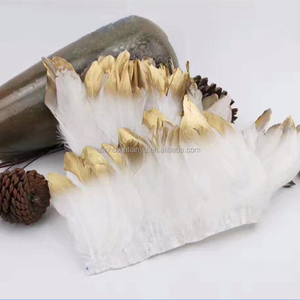 Venta al por mayor de fábrica: Plumas de ganso Xin Tian teñidas con puntas doradas, accesorios de ropa multicolor, certificado veterinario, China - Product Image 1