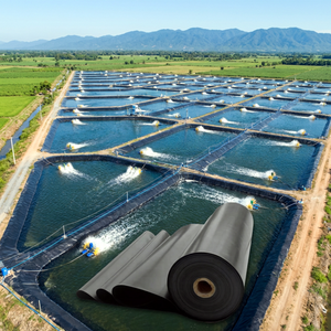 Géomembrane HDPE SDM à prix d'usine pour le revêtement de lacs artificiels - Product Image 2