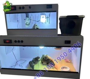 Boîtier de thermostat intégré à contrôle de température intelligent et sur mesure <span class=keywords><strong>pour</strong></span> terrarium de dragon barbu, lézard, reptile - Product Image 5