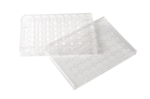 Placas <span class=keywords><strong>de</strong></span> Cultivo Celular Desechables <span class=keywords><strong>de</strong></span> Plástico Estéril AMA <span class=keywords><strong>de</strong></span> 48 Pocillos Transparentes con Tratamiento TC para Experimentos Biológicos <span class=keywords><strong>de</strong></span> Laboratorio - Product Image 4