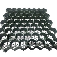 Grille alvéolée en plastique HDPE noir, design moderne, personnalisable, pour l'aménagement paysager des parcs, la protection des pentes et les parkings