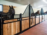 Écurie équestre organisateur de chevaux boîte écurie/grange