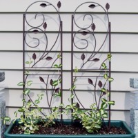 Treillis métallique décoratif à motif de feuilles, support pour plantes grimpantes en pot, piquet pour clématites et lierre, pour jardin extérieur