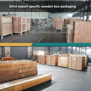 स्वचालित सिलियम भूक चॉकलेट पाउडर भोजन प्रतिस्थापन बादाम आटा पैकिंग मशीन - Product Image 6